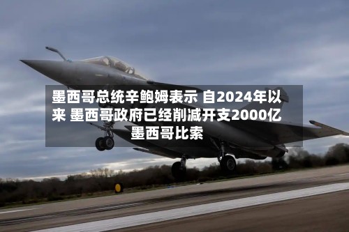 墨西哥总统辛鲍姆表示 自2024年以来 墨西哥政府已经削减开支2000亿墨西哥比索