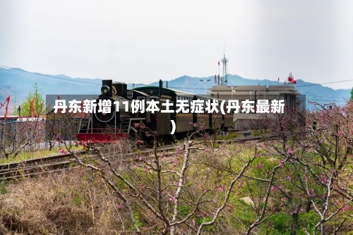 丹东新增11例本土无症状(丹东最新)