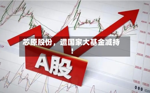 芯原股份，遭国家大基金减持！