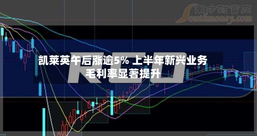 凯莱英午后涨逾5% 上半年新兴业务毛利率显著提升-第1张图片