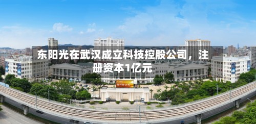 东阳光在武汉成立科技控股公司，注册资本1亿元-第2张图片