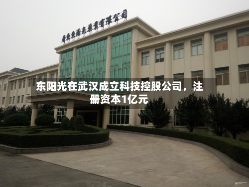 东阳光在武汉成立科技控股公司，注册资本1亿元-第1张图片