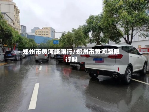 郑州市黄河路限行/郑州市黄河路限行吗